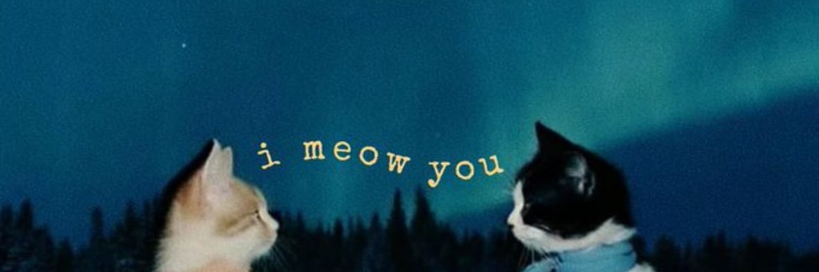 busedemirss's profile banner image