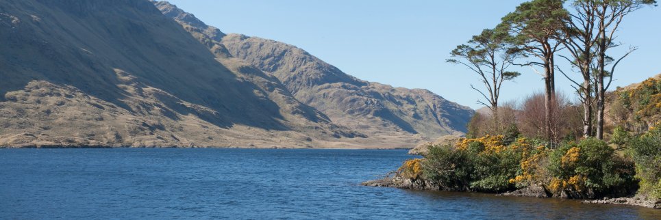galwaydave's profile banner image