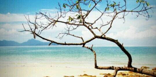 barisinhadi's profile banner image