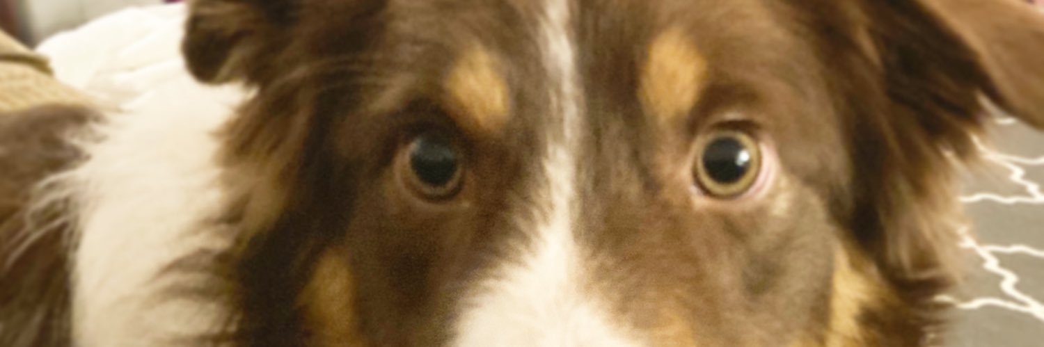 Eric Perrmann banner