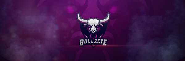 TheBullzeyeKK Profile Banner