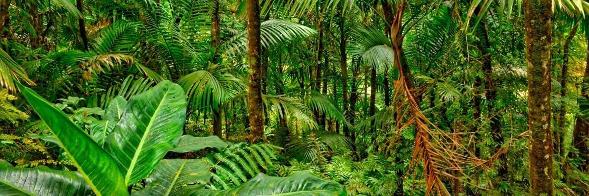 tagir667's profile banner image