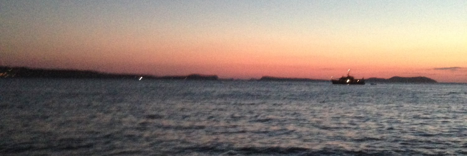 Mitchell Curtis banner