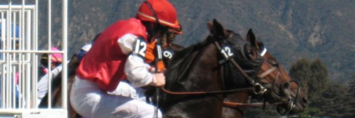 Jacqui5555's profile banner image