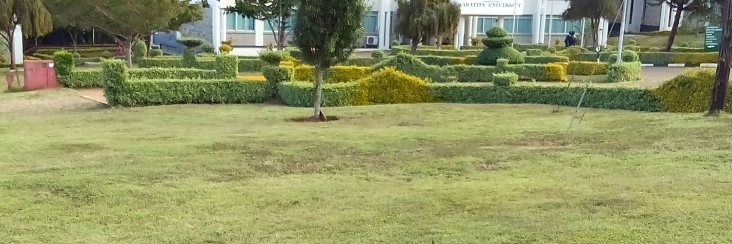 KigenTimy's profile banner image