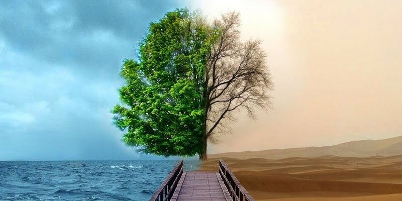 Alexx_pol's profile banner image