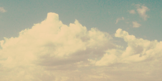 SeedTheChange's profile banner image