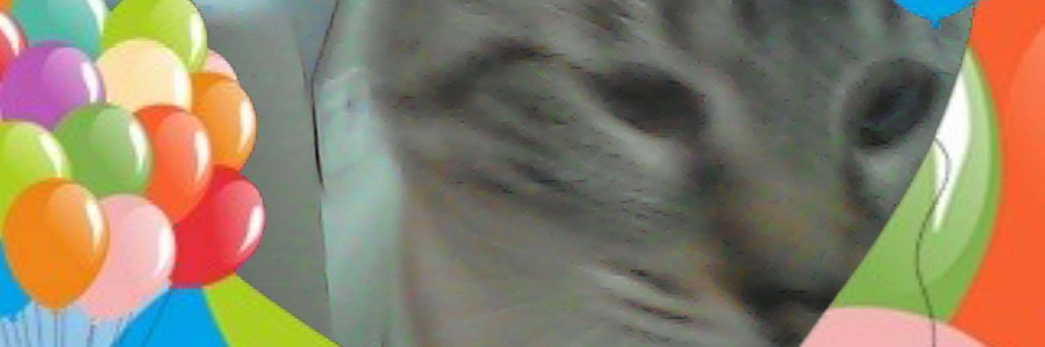 onswampy's profile banner image