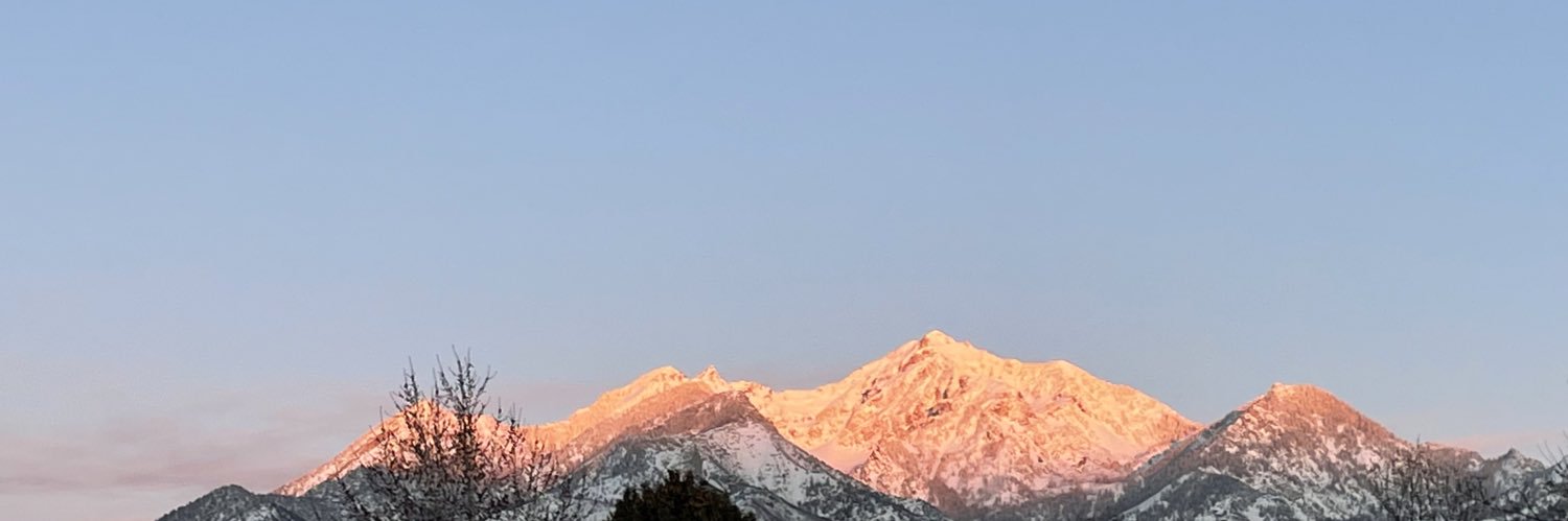 ris_big's profile banner image