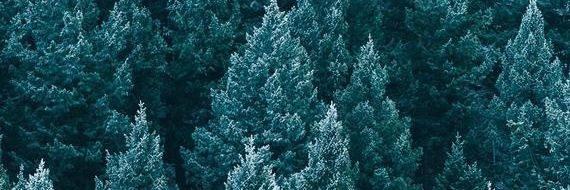 GTediting's profile banner image