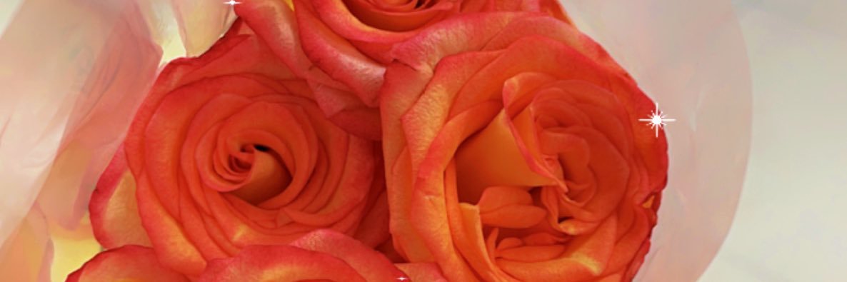 Sexi_Red6's profile banner image