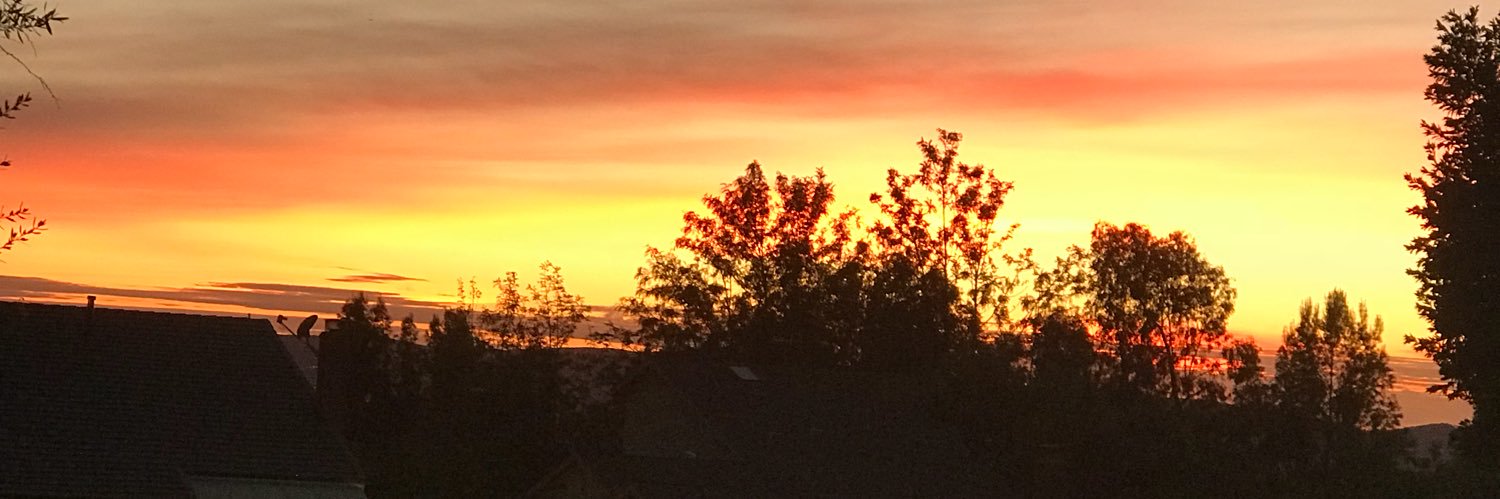 enlightened23's profile banner image