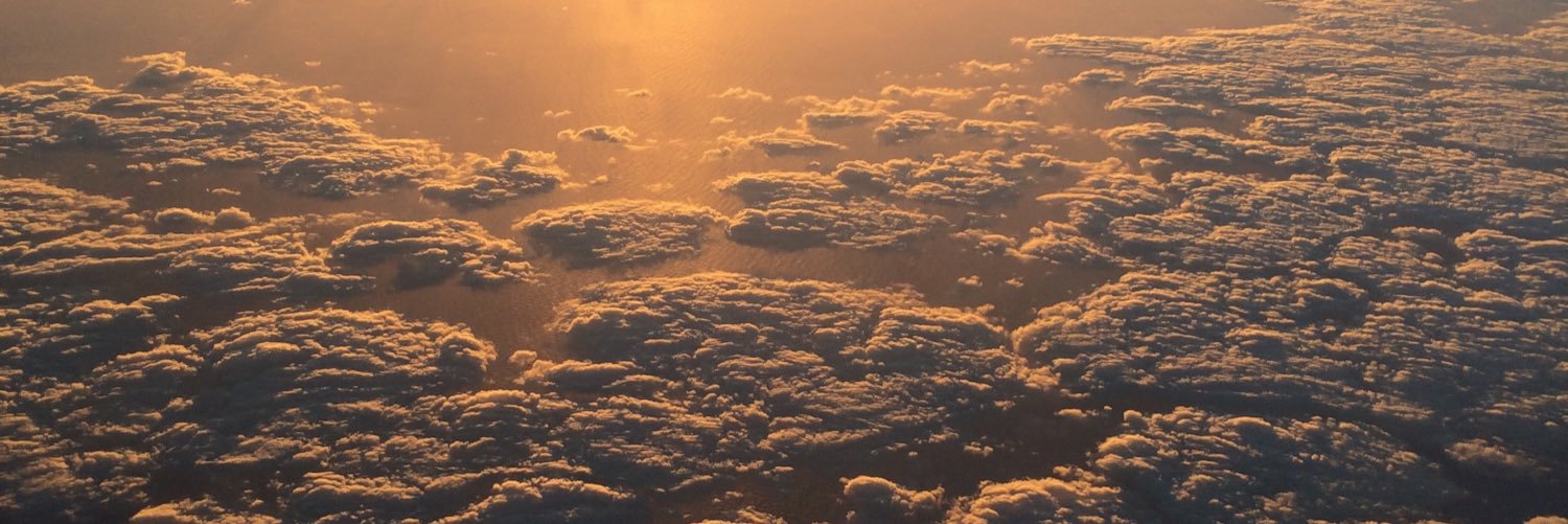 syddmiller's profile banner image