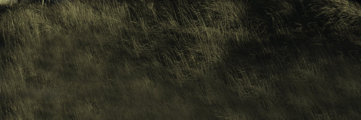 ChapelaKevin's profile banner image