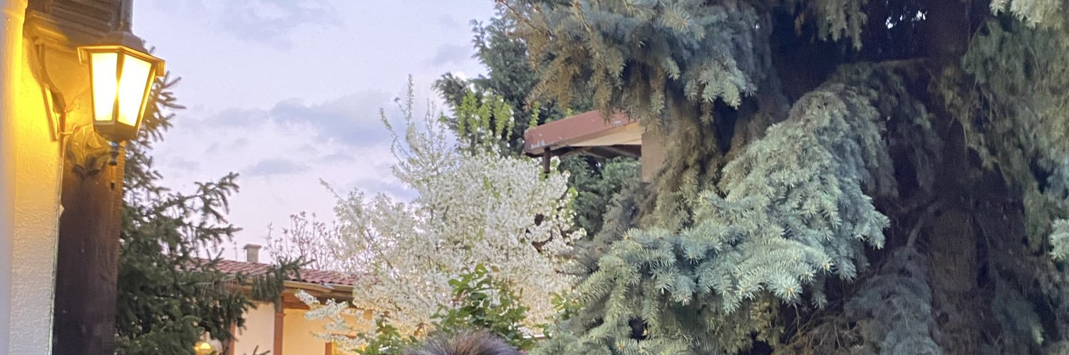 Yalçın Hatunoğlu banner