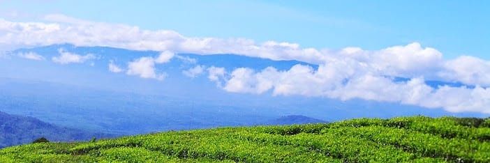 ececinaria's profile banner image