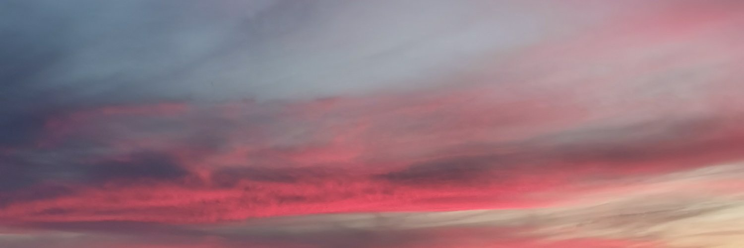 ZoeAndrewss's profile banner image