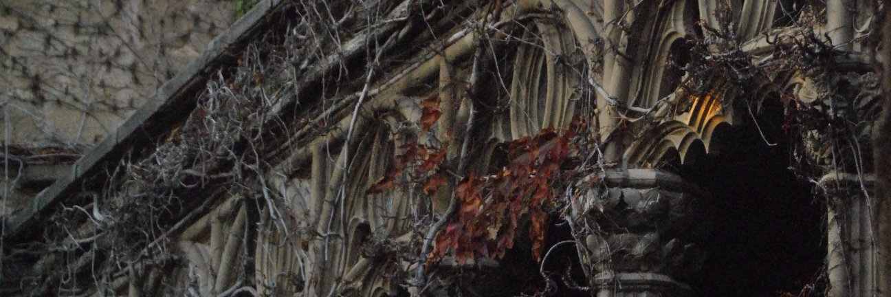 leliando's profile banner image