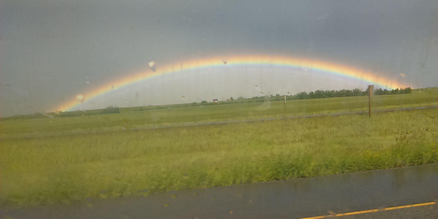 Gerrit Haarman banner