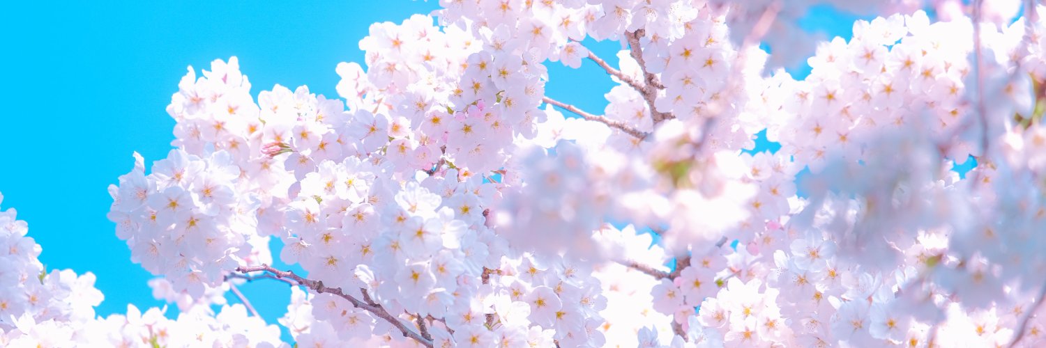 Suwuna__'s profile banner image
