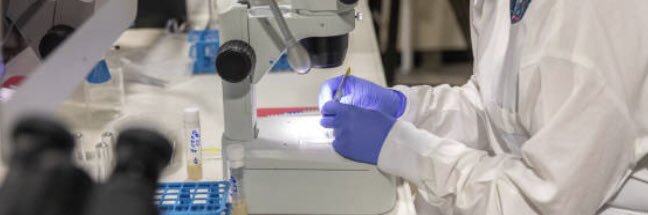 Deniz Ertekin, PhD banner