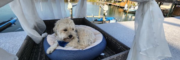 DSychev2 Profile Banner