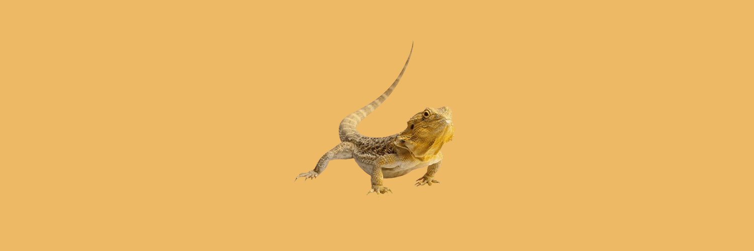 OFSC4LES's profile banner image