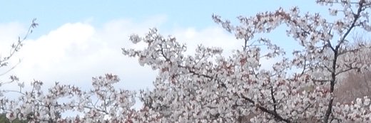 azkenken's profile banner image
