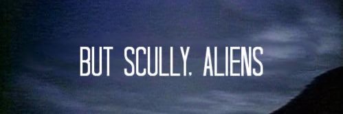 pipermaru81's profile banner image