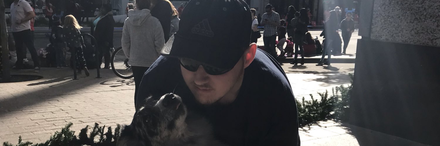 Disney Rachel banner