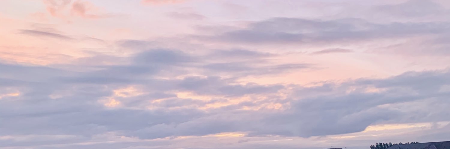raeirv's profile banner image