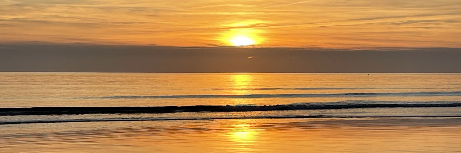 Frédéric PECHAVY banner