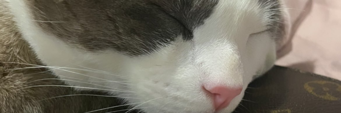 angelespdbg's profile banner image