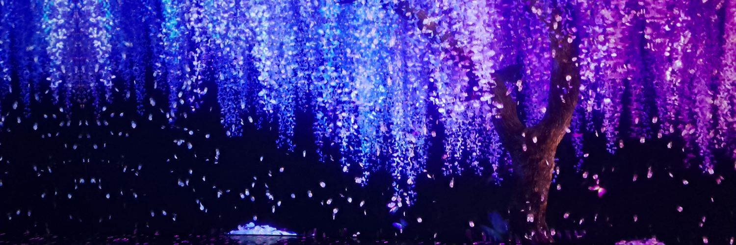 ᙏ̤̫라프프ꪔ̤̮ banner