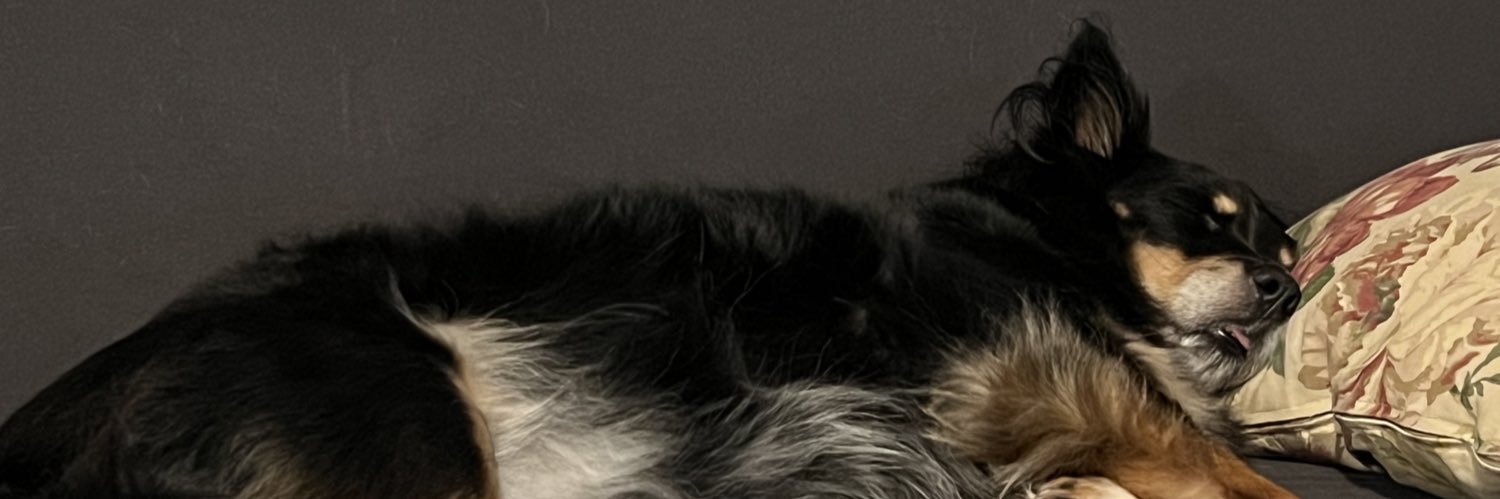 Bulbasam214's profile banner image