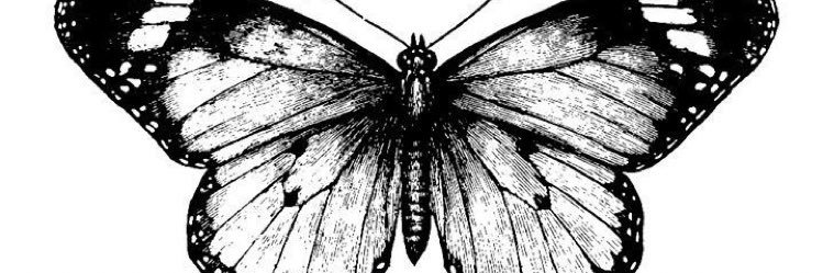 juusstem's profile banner image
