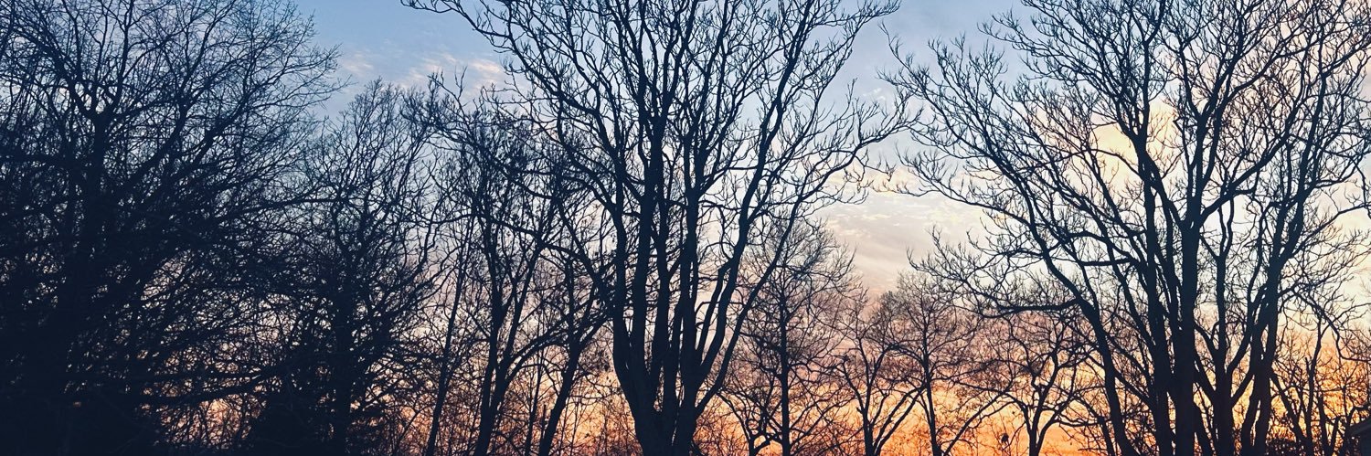 TDunback's profile banner image