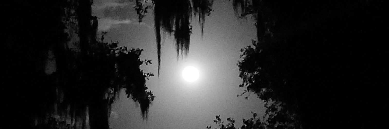 hauntatelier's profile banner image