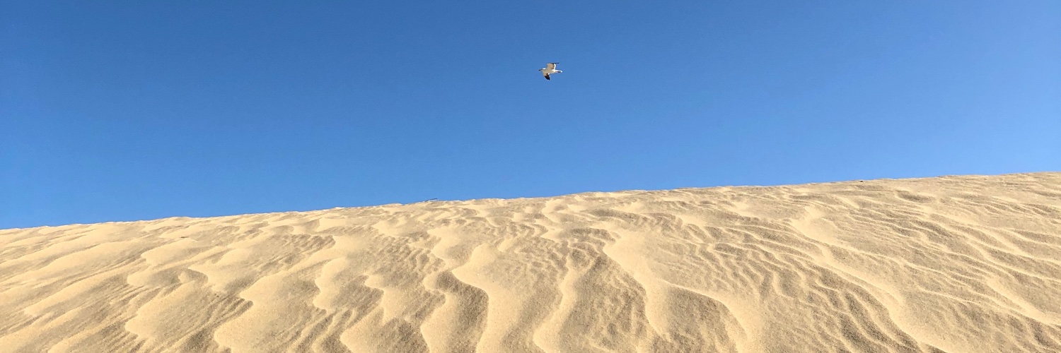 AgustinaadeLeon's profile banner image
