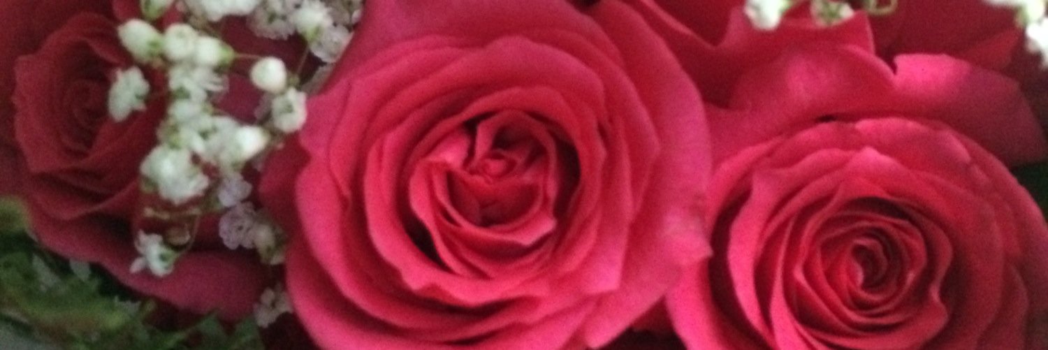 ally_schiller's profile banner image