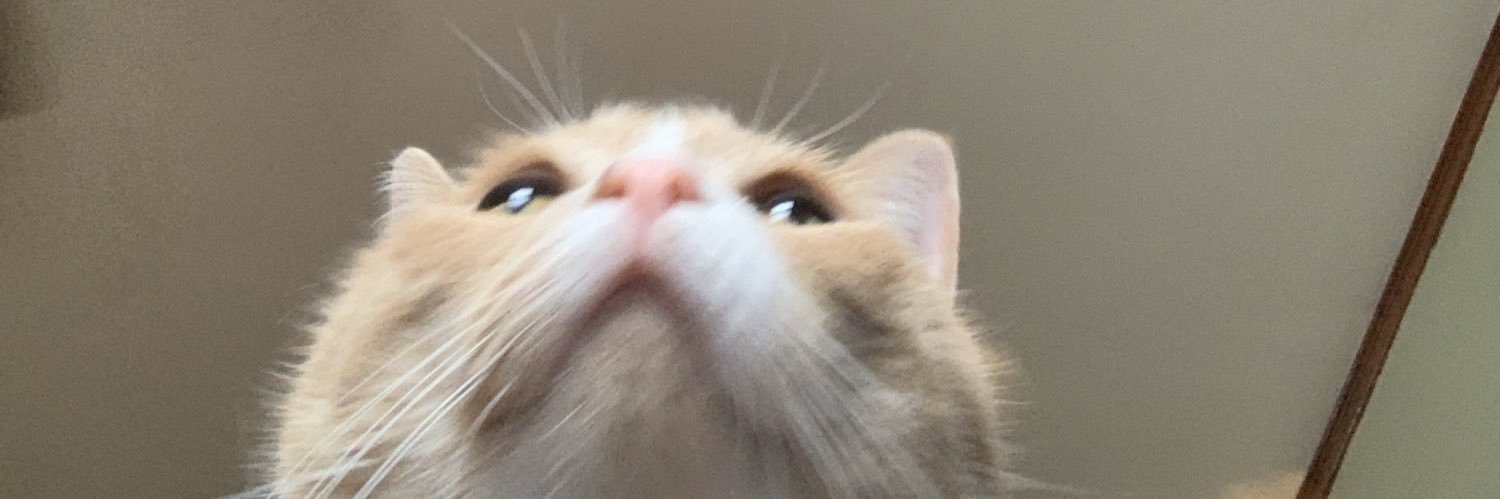 _lunaaaaa__'s profile banner image