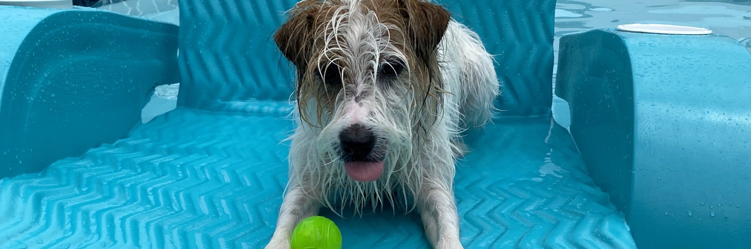 Jonathan Cline banner