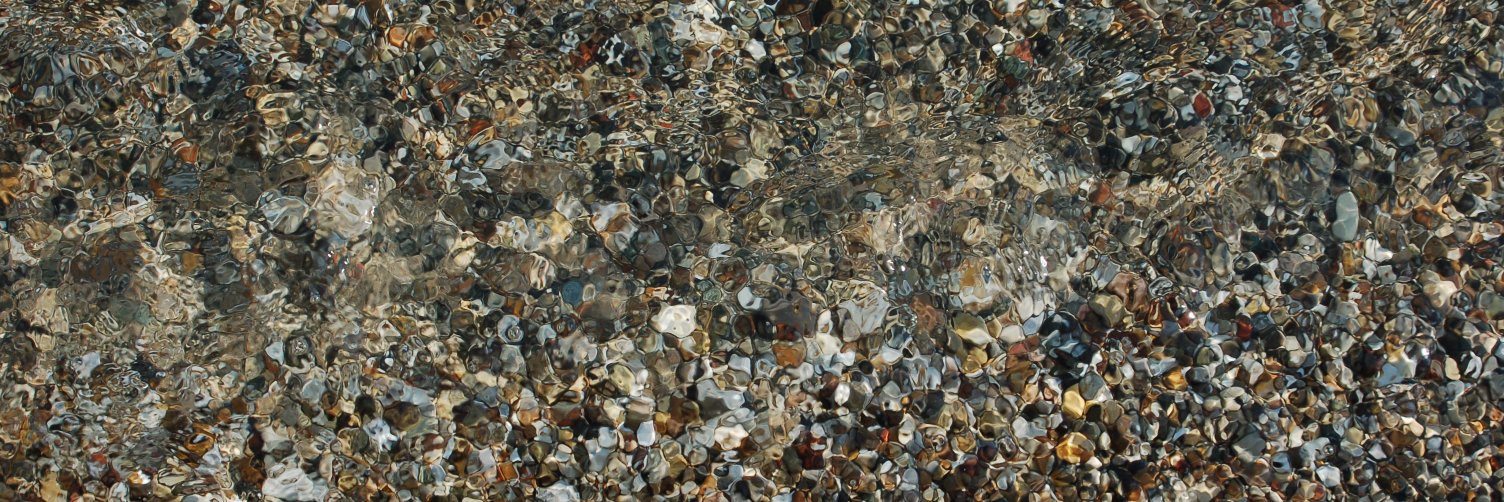 Robert Neumar banner