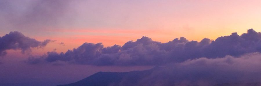ryannicolew2's profile banner image