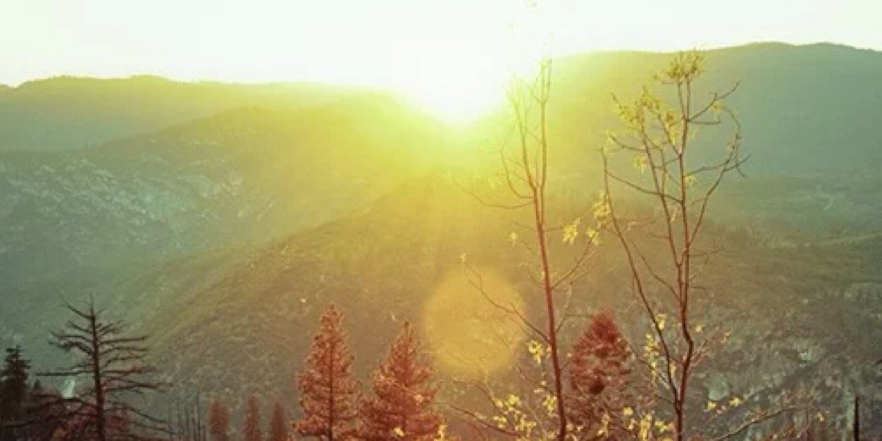 rrrvecc's profile banner image