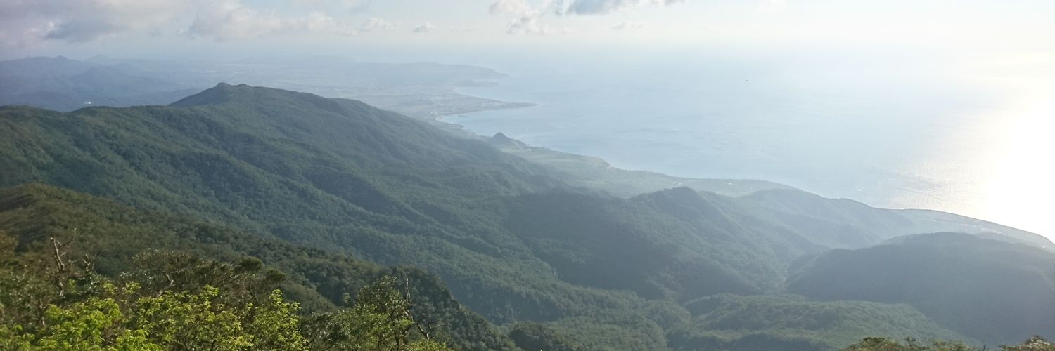 TOWERREMI's profile banner image