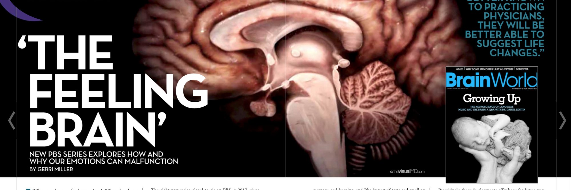TheFeelingBrain's profile banner image