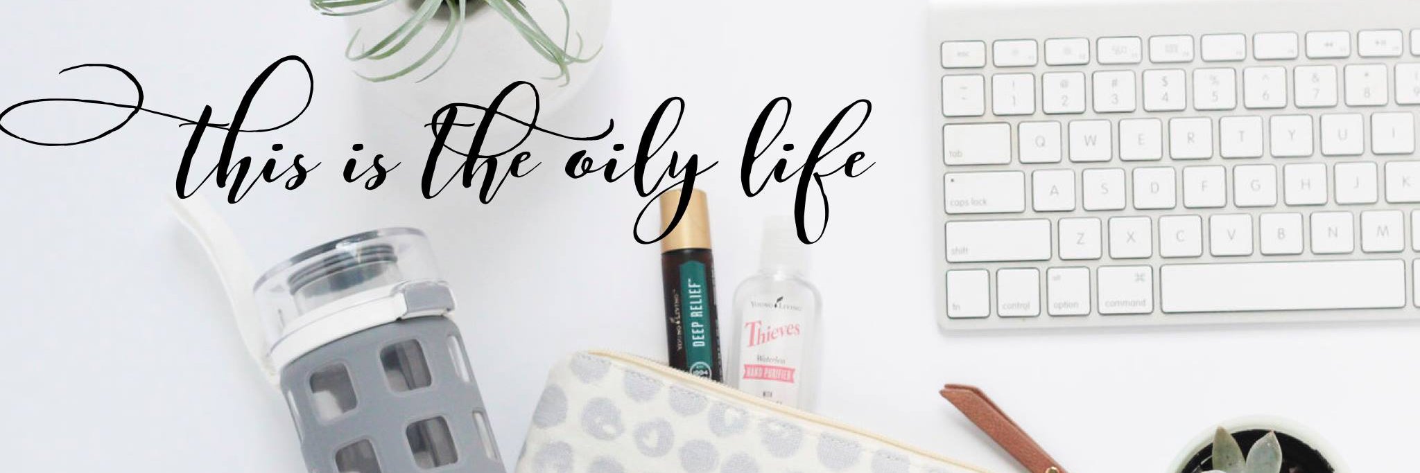 Thisisoilylife's profile banner image