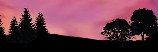 Murga_xi's profile banner image