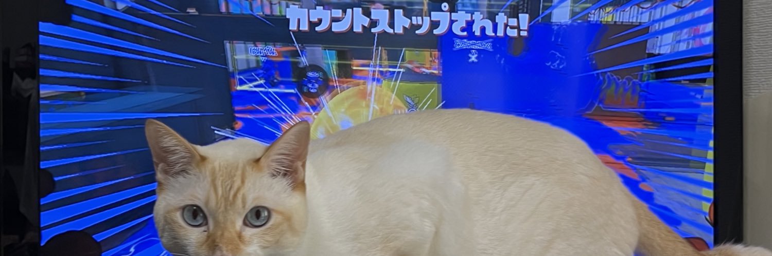 rin_mopp's profile banner image